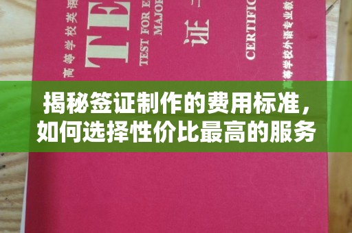 西山揭秘签证制作的费用标准，如何选择性价比最高的服务？