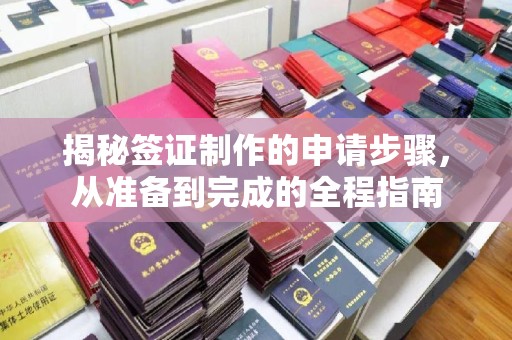西山揭秘签证制作的申请步骤，从准备到完成的全程指南